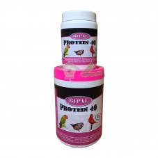 Bipal Protein 40