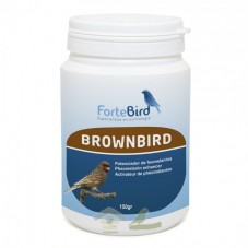 Brownbird